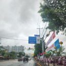 호영수산 | 구리수산물시장 제로페이,수산물대전 호영수산 포장후기👍🏻👍🏻탱글탱글 회맛집