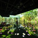 아르떼뮤지엄부산 이미지