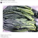 뉴그린 농장 이미지