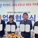 ㈜에스앤비인터내셔널 청도공장 네이버블로그