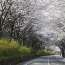 섬진강자전거길5 이미지