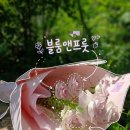 수원 인계동 꽃집 블룸앤프룻 생일선물 꽃다발 후기