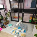 진서동물병원 이미지