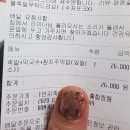 1번지보쌈족발