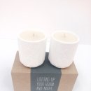 초이시스 (CHOISYS) 이미지