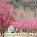 간전중앙로 이미지