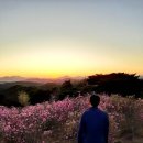 GS25서구검단고점 | [진달래 만발 가현산 등산코스]검단사거리역 출발~세자봉~묘각사~진달래동산