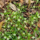 노후설계상담사 1급 과정 이미지