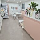 (11/28)반려동물 수제간식 멍김밥 | 청주 분평동 강아지 수제간식 맘마 먹으러 오시개 반려동물수제간식 강아지케이크