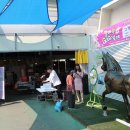 우산초등학교 이미지