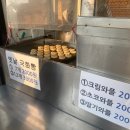 뉴코아아울렛 앞 횡단보도 이미지