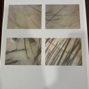 부산맥스웰피부과의원 이미지