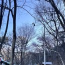 깔딱요구 | 겨울 수락산 등산코스 총정리｜수락산 등산시간 & 최단코스 꿀팁