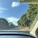 그린필드 | 제주도 겨울 골프여행 그린필드GC 12월 라운딩 후기!(feat. 그린피 정보)