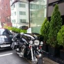 통나무엘린 이미지