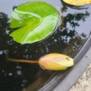 칠곡동아약국 이미지