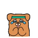 홍안과의원 이미지