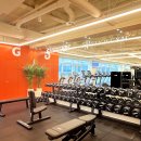 마곡역 도보 1분거리 《파인드짐》 &#34;프리랜서&#34; 구인중입니다! 이미지