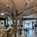 소양강닭갈비막국수 이미지