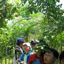 장성초등학교 이미지