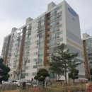 동문동538 이미지