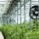 뜬봉샘농장 이미지