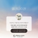 엘레나이젠