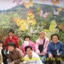 민들레의 집 이미지