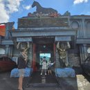 태미목장 | 제주 말타기 체험 목장까페 드르쿰다 아이와 다녀온 후기