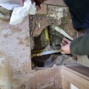 하단동110 이미지