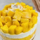 케이크가예쁘다 | [울산] 중구 '케이크가 예쁘다' 망고케이크 맛집 후기