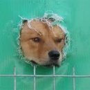 흠