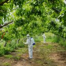 전남대학교 식물방역대학원 이미지
