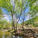 올챙이캠핑장 이미지