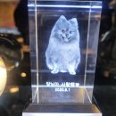 감내 무지개마루 이미지