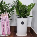 이루다 태권도장 이미지