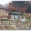 세심정 Daum카페