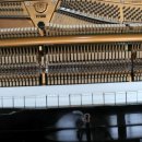 북안초등학교 이미지