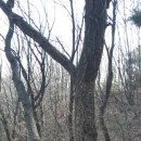 사랑나무공동체 이미지