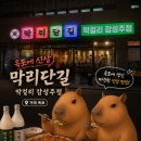 거제 옥포 술집 새로생긴 전집 추천｜감성 가득한 막리단길 방문후기