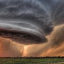 번개랜드 이미지