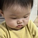 대정농협주유소 이미지