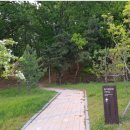 윤각장군 묘 이미지