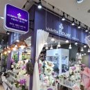 둔산이마트 | 대전 꽃다발 이마트근처 가성비꽃집 대전둔산꽃집 비올레뜨 다녀온후기