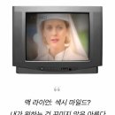 90년대 국내 톱스타급 인기를 누렸으나 한국 무시하다가 민심 잃은 90년대 헐리웃판 날강두 여배우 이미지