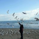 대왕바우 이미지