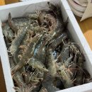강남축산물도매센타