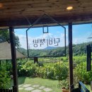 단비책방 | 세종 전의면 감성스테이와 독립서점 카페 단비책방