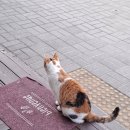 오대산 힐링타운 달빛동 이미지