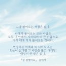 팀레드주짓수&MMA